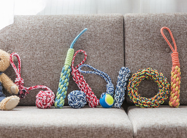 Koerte tekstiilist mänguasjad - mitu mudelit