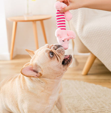 Jucărie pentru câini de plus - trei modele