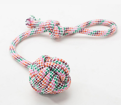 Minge de jucărie pentru câini cu lesă