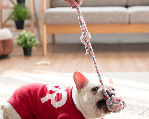 Minge de jucărie pentru câini cu lesă