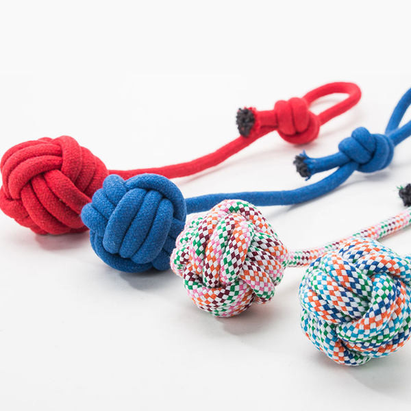 Minge de jucărie pentru câini cu lesă