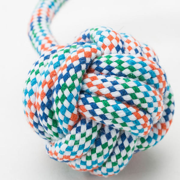 Minge de jucărie pentru câini cu lesă