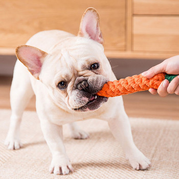 Βαμβακερό σχοινί - ένα παιχνίδι για έναν σκύλο
