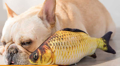 Pillow for dogs in the form of fish