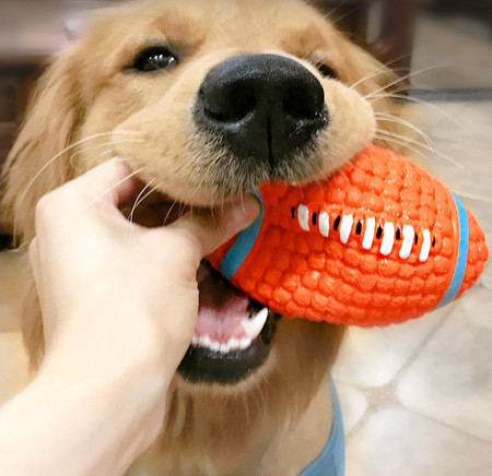 Kummist mänguasi koertele - erinevad mudelid