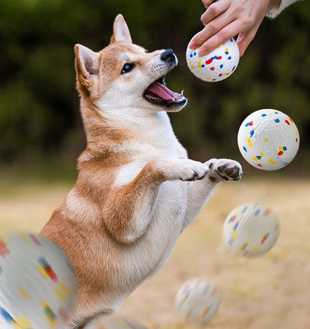 Παιχνίδι σκύλου - μπάλα