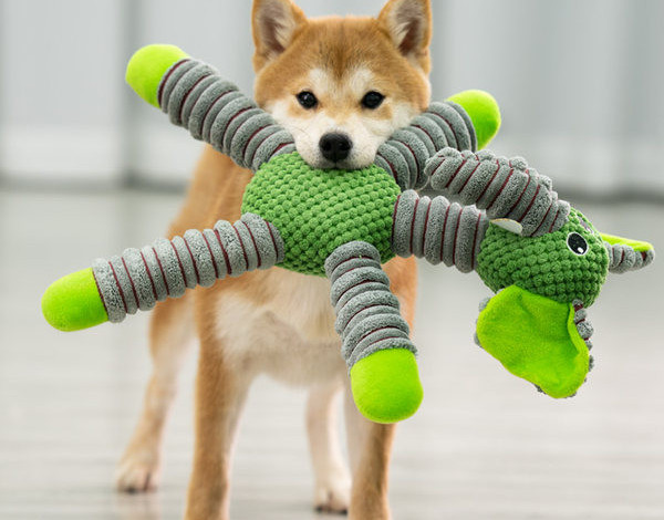 Pehme mänguasi elevandi- ja karukoertele