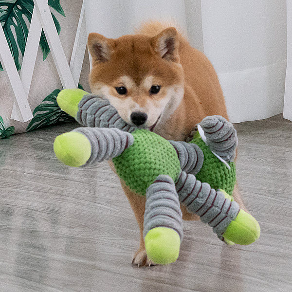 Pehme mänguasi elevandi- ja karukoertele