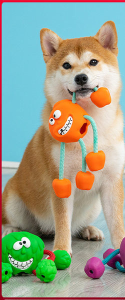 Jucărie din cauciuc pentru câini cu aplicare