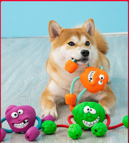 Jucărie din cauciuc pentru câini cu aplicare