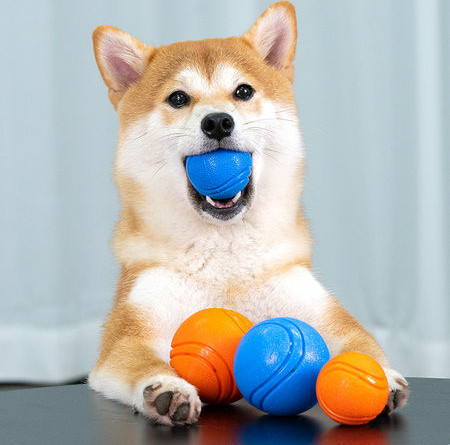 Μπάλα από καουτσούκ για κατοικίδια