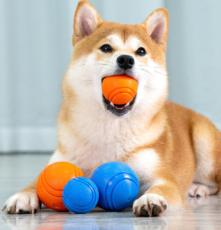 Μπάλα από καουτσούκ για κατοικίδια