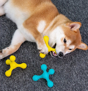 Играчка за кучета в два цвята