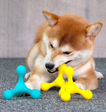 Παιχνίδι για σκύλους σε δύο χρώματα