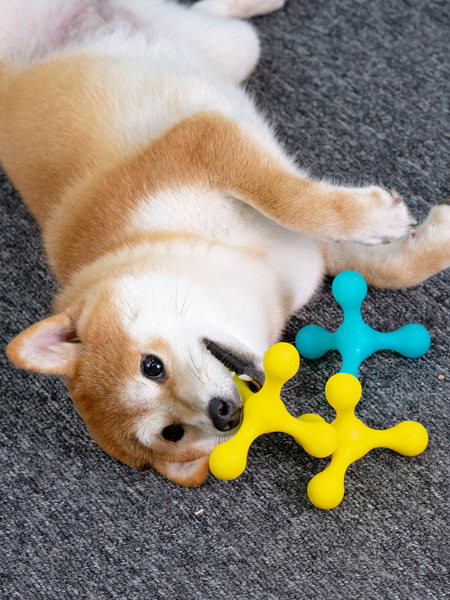 Jucărie pentru câini în două culori