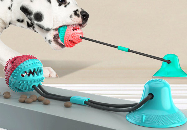 Vaakummänguasi koertele