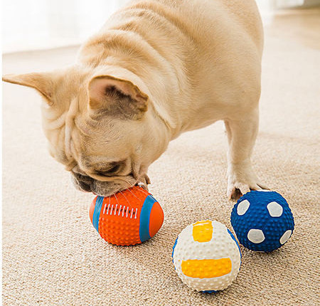 Mänguasi koertele - mitu mudelit