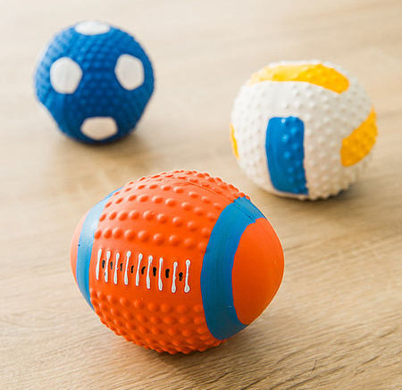 Mänguasi koertele - mitu mudelit