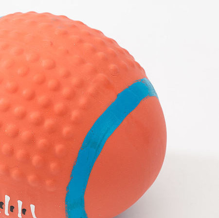 Mänguasi koertele - mitu mudelit