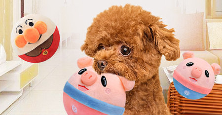 Музикална плюшена играчка за кучета 