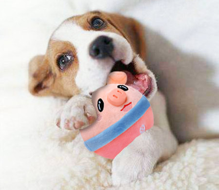 Музикална плюшена играчка за кучета 