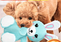 Koertele sobiv plüüsist mänguasi