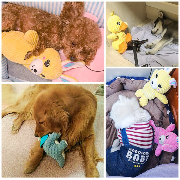 Koertele sobiv plüüsist mänguasi