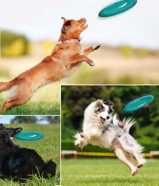 Kummist mänguasi frisbee koertele