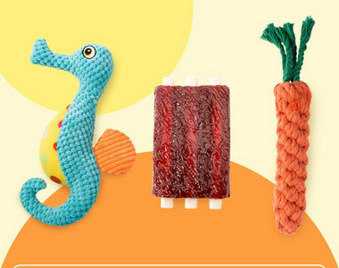 Tekstiilist või kummist koeramänguasi – erinevad mudelid