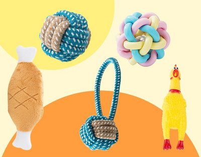 Tekstiilist või kummist koeramänguasi – erinevad mudelid