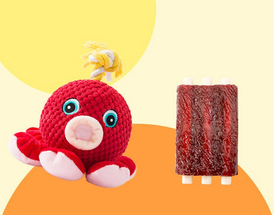 Tekstiilist või kummist koeramänguasi – erinevad mudelid