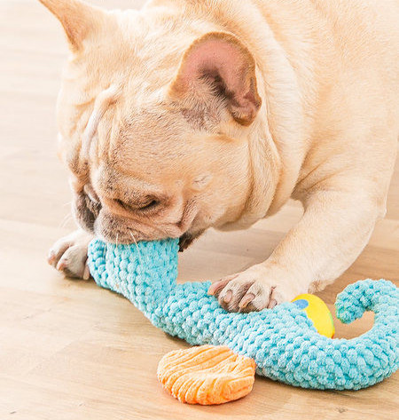 Tekstiilist või kummist koeramänguasi – erinevad mudelid