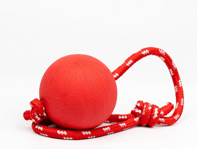 Tekstiilist mänguasi koertele