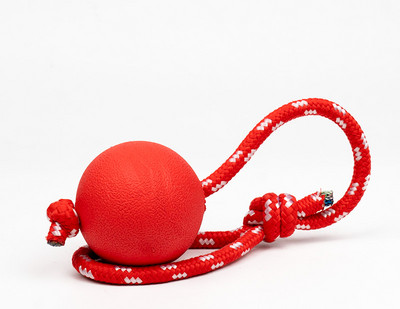 Tekstiilist mänguasi koertele