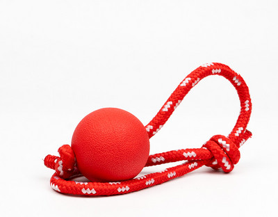 Tekstiilist mänguasi koertele