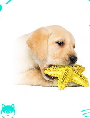 Jucărie pentru câini din cauciuc în formă de stea - mai multe modele