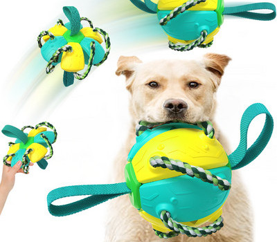 Μπάλα παιχνιδιών για σκύλους - δύο χρώματα