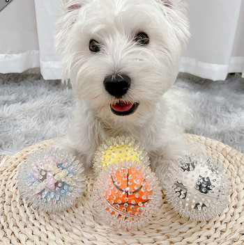 Μικρή λαστιχένια μπάλα για σκύλους