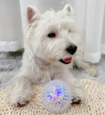 Малка гумена топка за игра на кучета