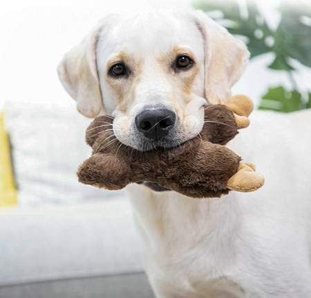 Плюшена играчка за кучета с бродиран надпис