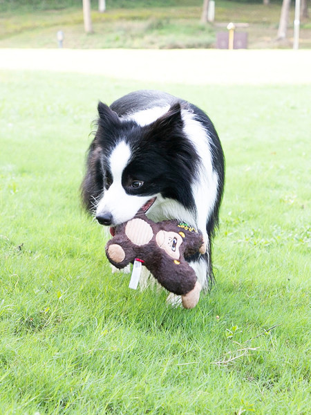 Плюшена играчка за кучета с бродиран надпис