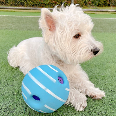 Minge de jucărie din cauciuc pentru câini