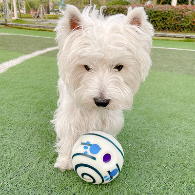 Minge de jucărie din cauciuc pentru câini