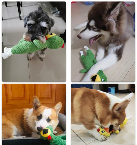 Jucărie pentru animale de companie în formă de animale