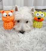 Λαστιχένιο παιχνίδι για σκύλους - δύο χρώματα