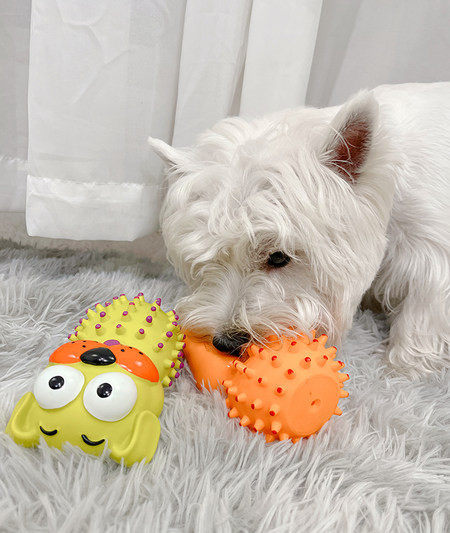 Λαστιχένιο παιχνίδι για σκύλους - δύο χρώματα