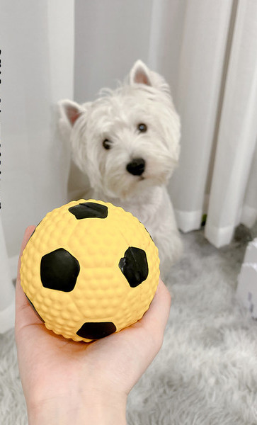 Jalgpalli kujuline kummist koeramänguasi