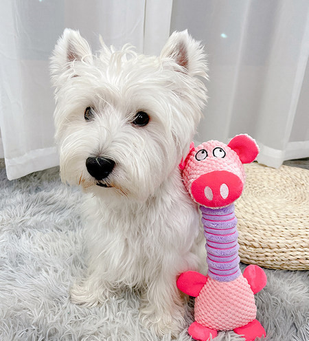 Jucărie de plus pentru animale de companie