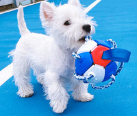 Nogometna lopta za pse