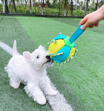 Αναπηδώντας μπάλα ποδοσφαίρου για σκύλους